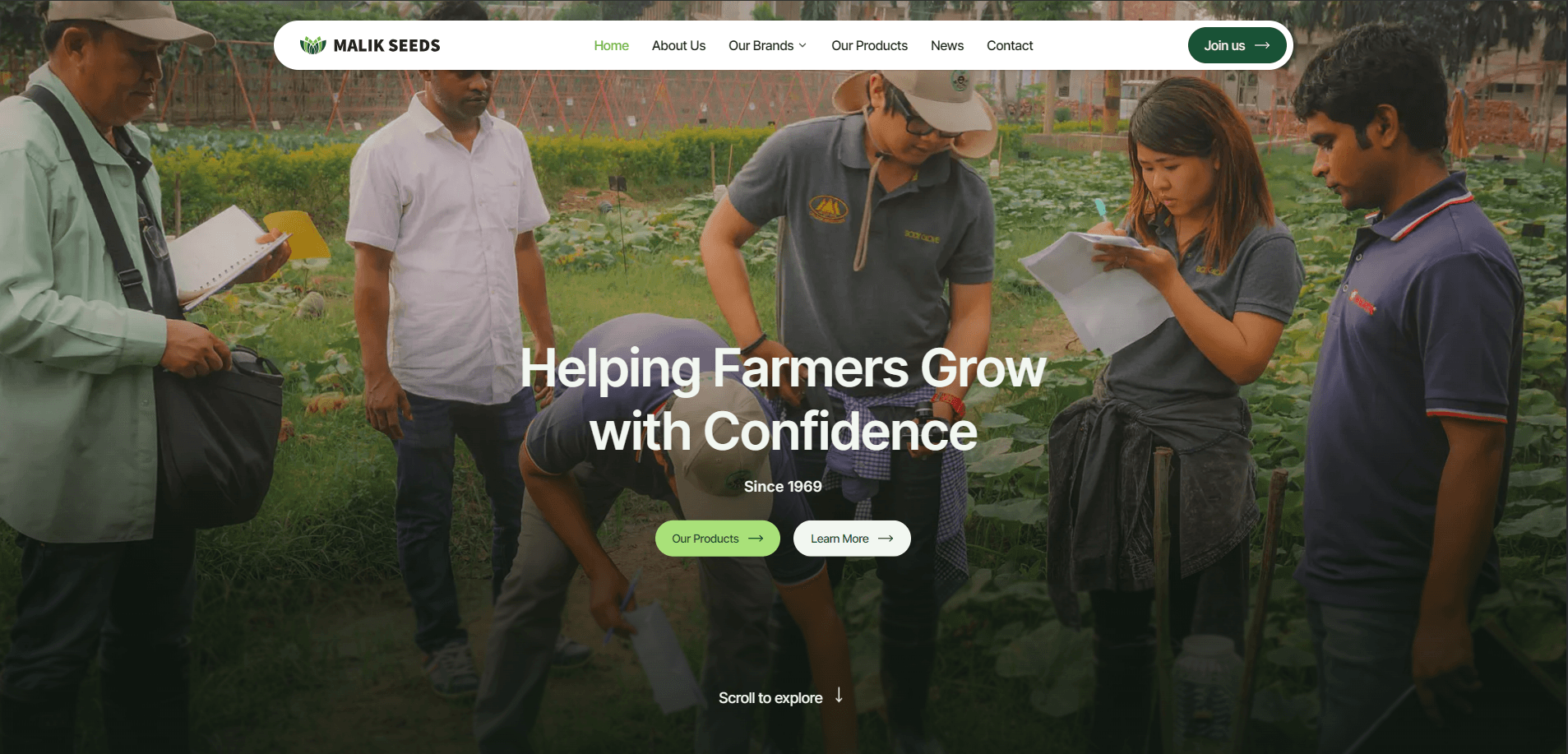 Malik Seed Web Portal